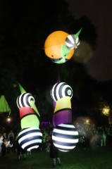 Lampadophores 22 * 6240 x 4160 * (6.84MB)